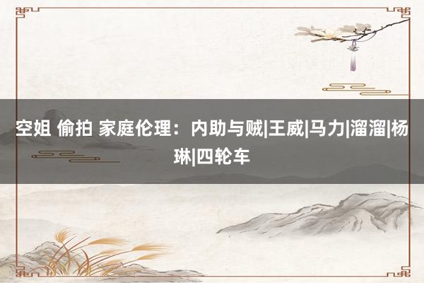 空姐 偷拍 家庭伦理：内助与贼|王威|马力|溜溜|杨琳|四轮车