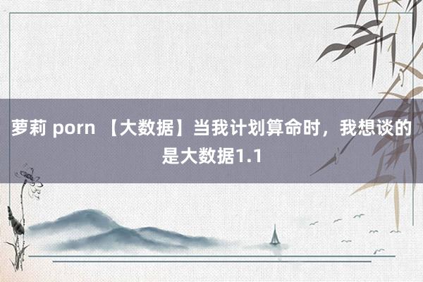 萝莉 porn 【大数据】当我计划算命时，我想谈的是大数据1.1