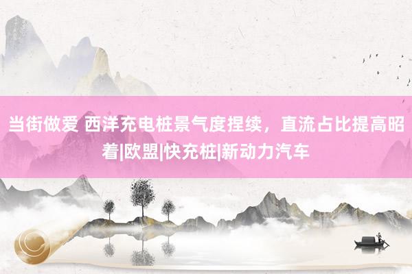 当街做爱 西洋充电桩景气度捏续，直流占比提高昭着|欧盟|快充桩|新动力汽车