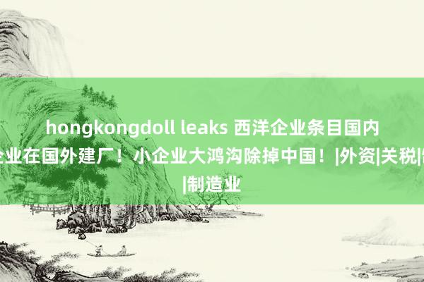 hongkongdoll leaks 西洋企业条目国内互助企业在国外建厂！小企业大鸿沟除掉中国！|外资|关税|制造业