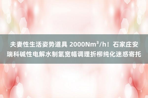 夫妻性生活姿势道具 2000Nm³/h！石家庄安瑞科碱性电解水制氢宽幅调理折柳纯化迷惑寄托