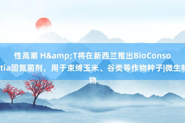 性高潮 H&T将在新西兰推出BioConsortia固氮菌剂，用于束缚玉米、谷类等作物种子|微生物