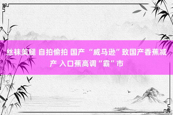 丝袜美腿 自拍偷拍 国产 “威马逊”致国产香蕉减产 入口蕉高调“霸”市