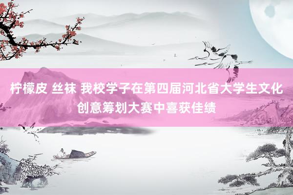 柠檬皮 丝袜 我校学子在第四届河北省大学生文化创意筹划大赛中喜获佳绩