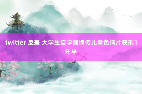 twitter 反差 大学生自学翻墙传儿童色情片获刑1年半
