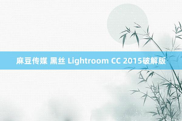 麻豆传媒 黑丝 Lightroom CC 2015破解版