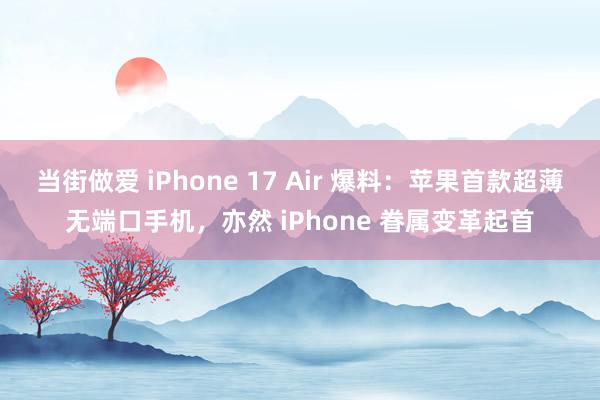 当街做爱 iPhone 17 Air 爆料：苹果首款超薄无端口手机，亦然 iPhone 眷属变革起首