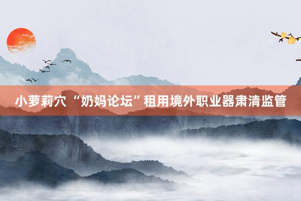 小萝莉穴 “奶妈论坛”租用境外职业器肃清监管