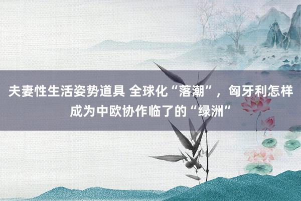 夫妻性生活姿势道具 全球化“落潮”，匈牙利怎样成为中欧协作临了的“绿洲”