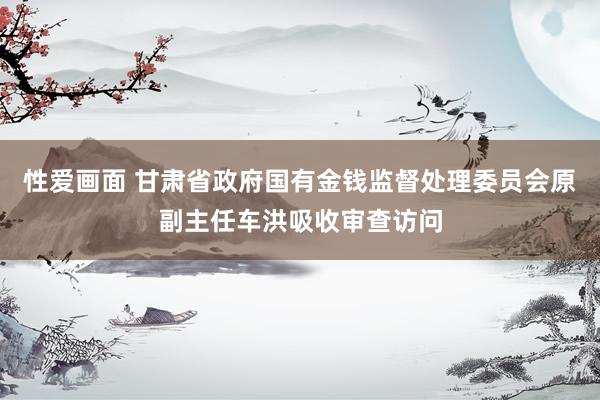 性爱画面 甘肃省政府国有金钱监督处理委员会原副主任车洪吸收审查访问