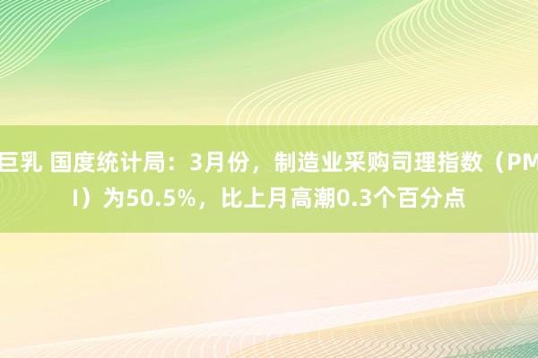 巨乳 国度统计局：3月份，制造业采购司理指数（PMI）为50.5%，比上月高潮0.3个百分点