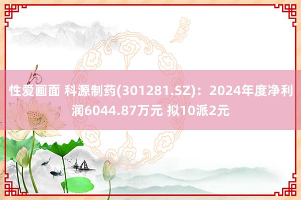 性爱画面 科源制药(301281.SZ)：2024年度净利润6044.87万元 拟10派2元