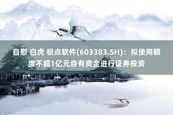 自慰 白虎 极点软件(603383.SH)：拟使用额度不超1亿元自有资金进行证券投资